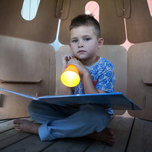 Turtle Eco Playhouse