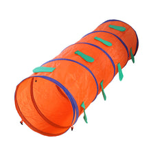 Animal Tunnel Pop Up