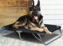 PET COT LARGE