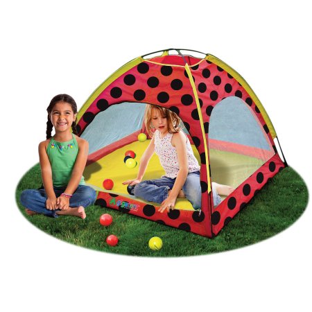 LADY BUG PLAYHOUSE